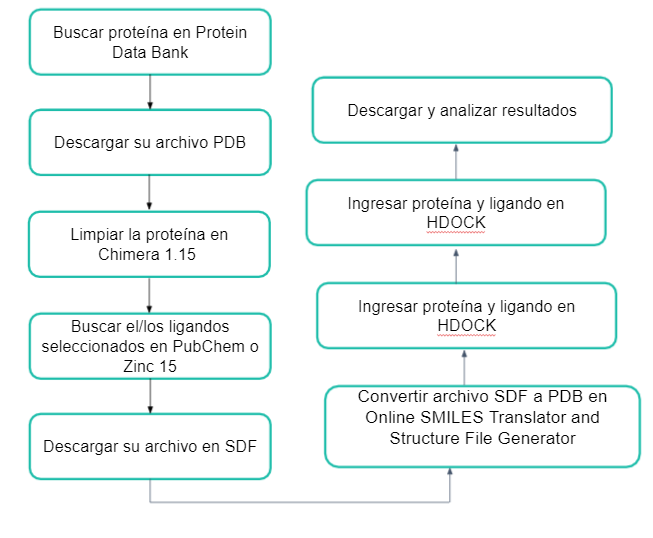 En búsqueda de tratamientos para VPH